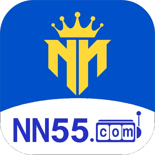 NN55.com